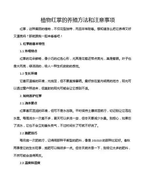 植物红掌的养殖方法和注意事项