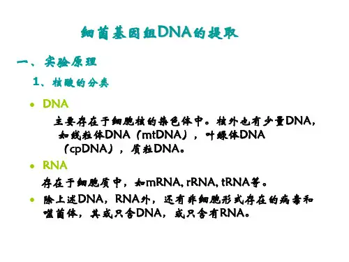 实验一细菌基因组DNA的提取