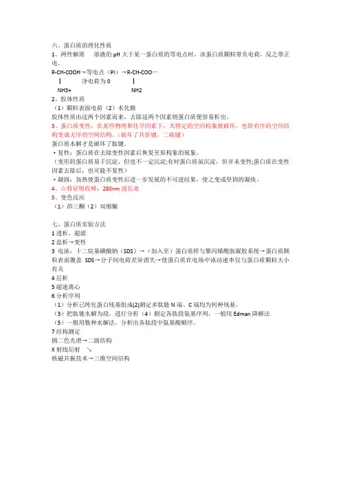 蛋白质的理化性质