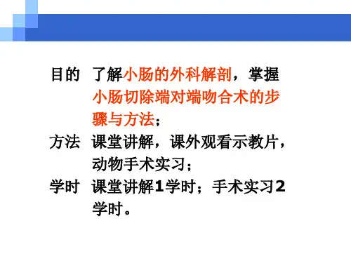 小肠部分切除端对端吻合术