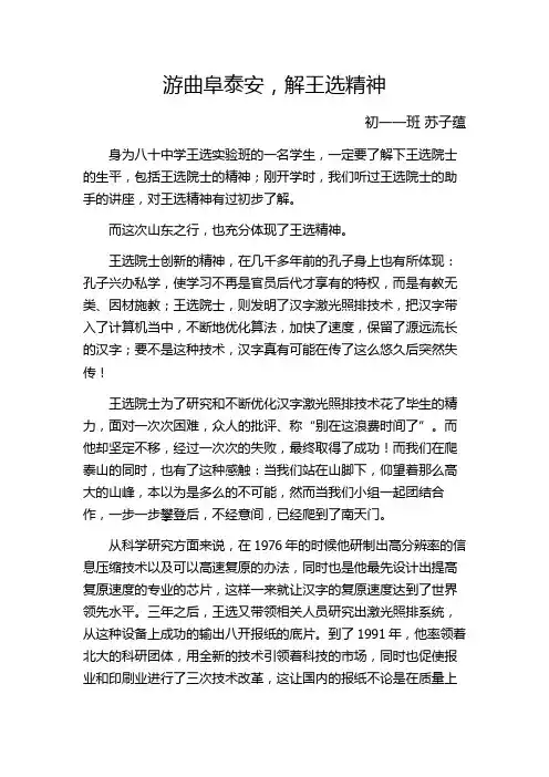 王选精神