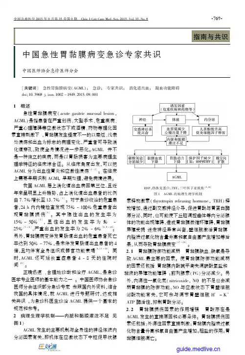 中国急性胃黏膜病变急诊专家共识 2015