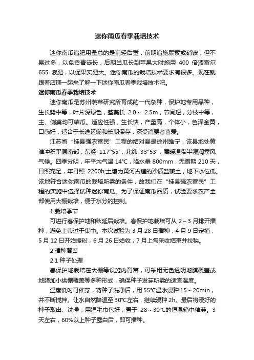 迷你南瓜春季栽培技术