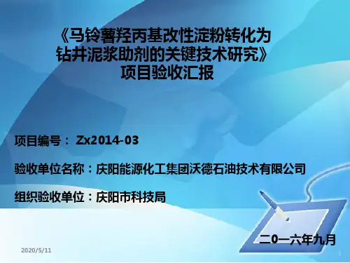 科技项目验收PPTPPT课件