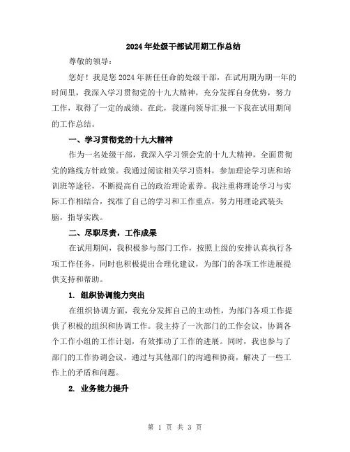 2024年处级干部试用期工作总结