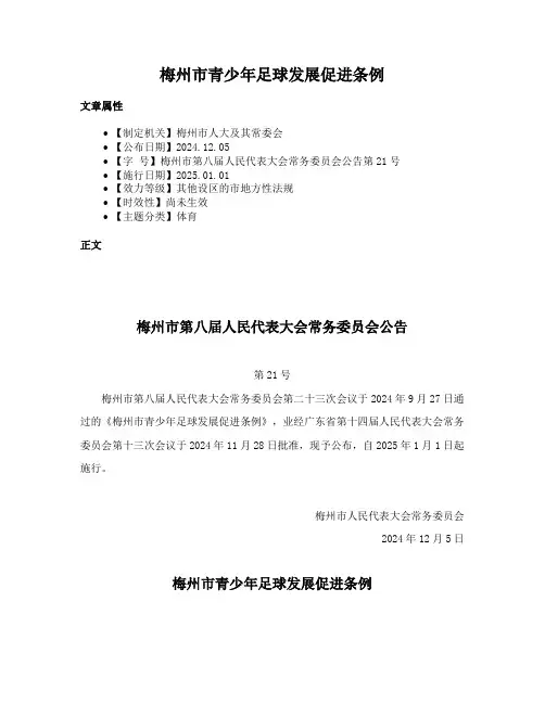 梅州市青少年足球发展促进条例