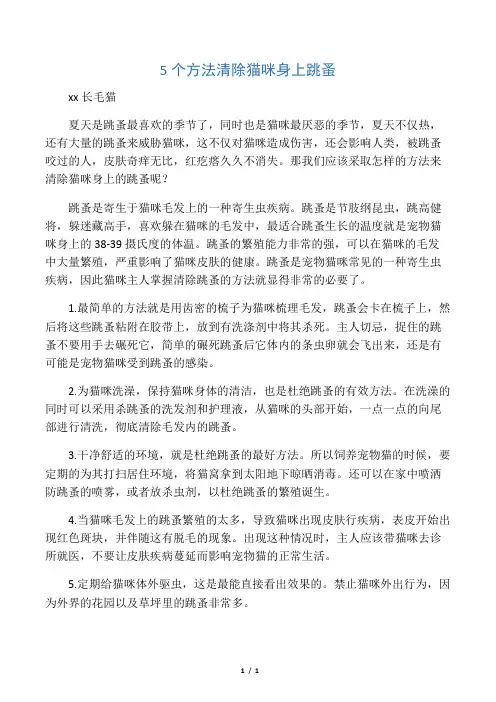 5个方法清除猫咪身上跳蚤