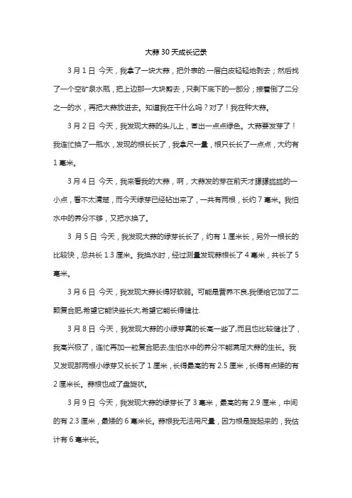 大蒜30天成长记录