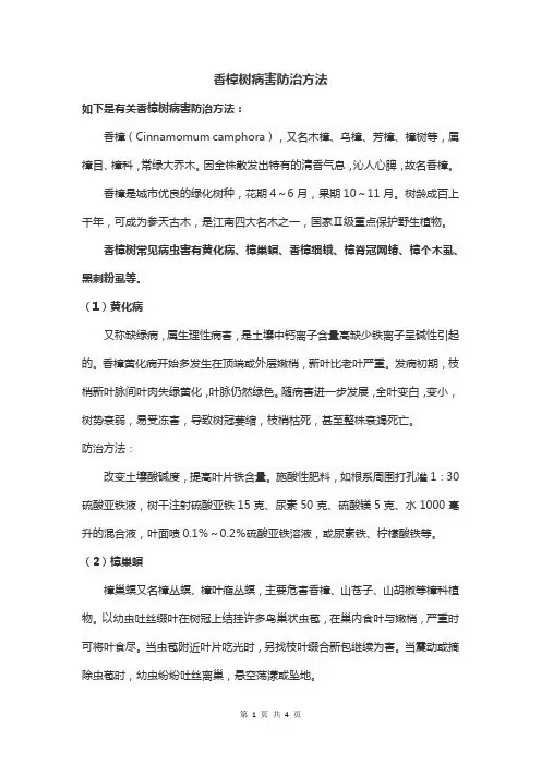 香樟树病害防治方法