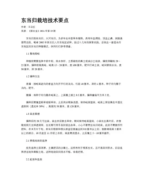 东当归栽培技术要点