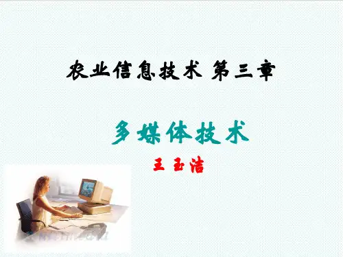 信息化知识-农业信息化导论第3章 精品
