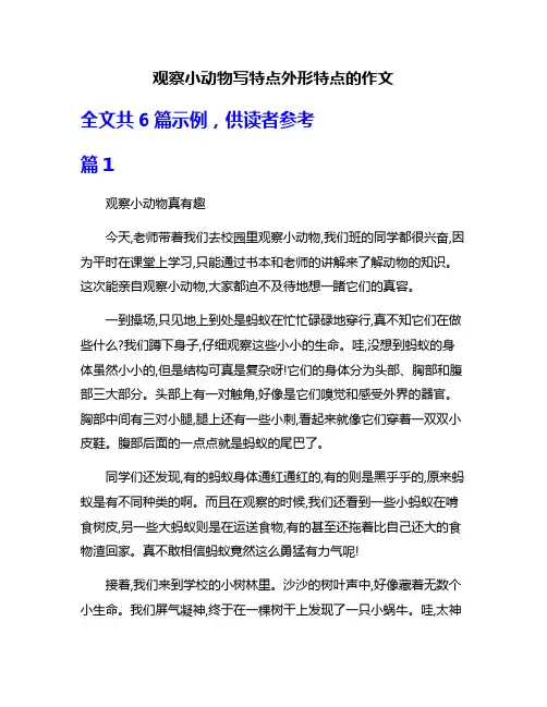 观察小动物写特点外形特点的作文