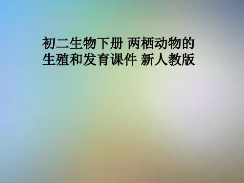 初二生物下册 两栖动物的生殖和发育课件 新人教版