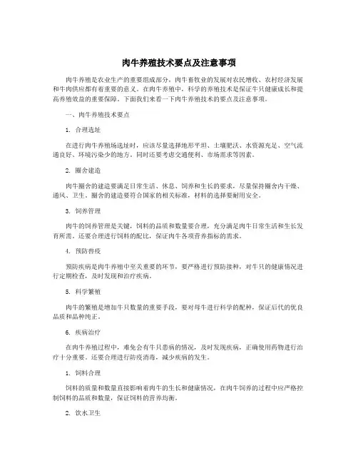 肉牛养殖技术要点及注意事项