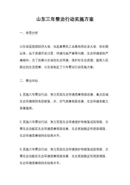 山东三年整治行动实施方案