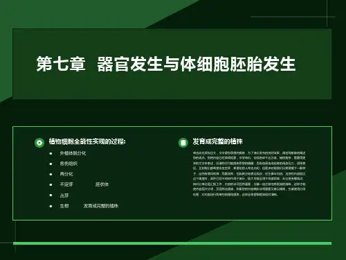 器官发生与体细胞胚胎发生