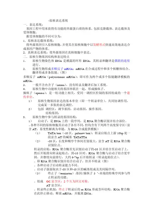 原核表达系统