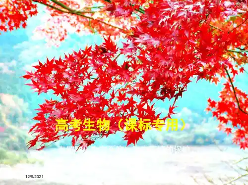 高考生物 专题22 生态系统与生态环境的保护课件