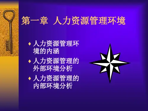 人力资源管理的环境分析.ppt