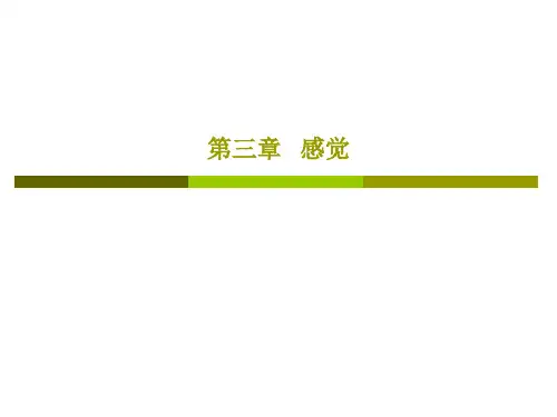 普通心理学 第三章 感觉