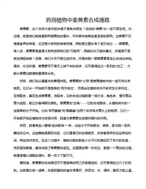 药用植物中姜黄素合成通路