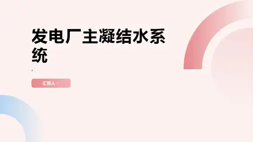 发电厂主凝结水系统