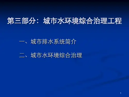 城市水环境治理工程PPT演示课件