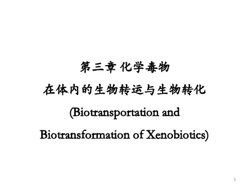 第3章 化学毒物在体内的生物转运与生物转化 (921)