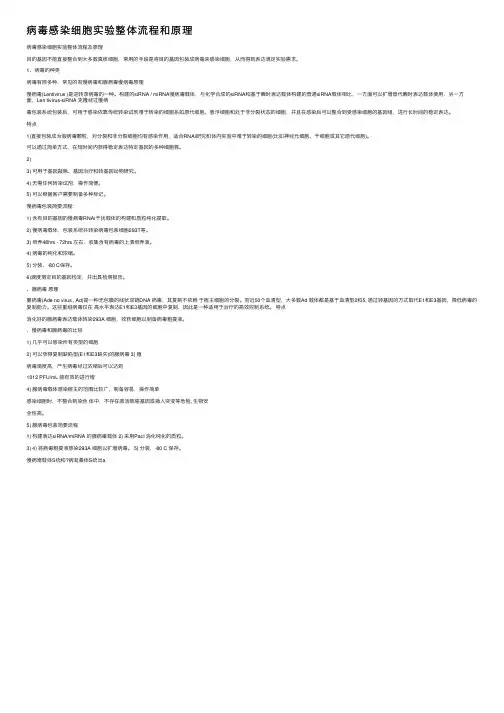 病毒感染细胞实验整体流程和原理