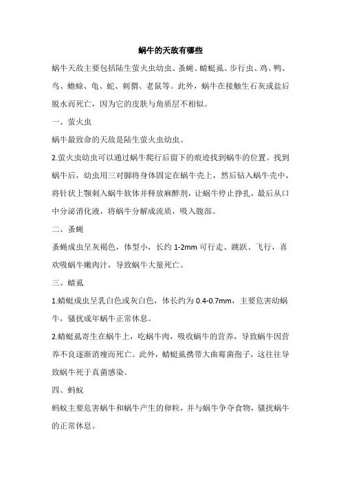 蜗牛的天敌有哪些
