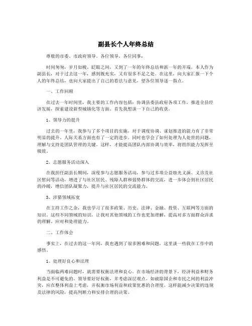 副县长个人年终总结
