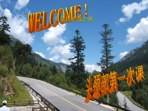 头颈部影像诊断参考PPT
