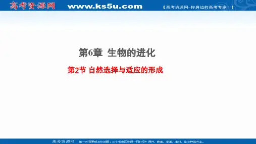 (新教材)2020-2021学年高中人教版生物必修第二册课件：6.2自然选择与适应的形成