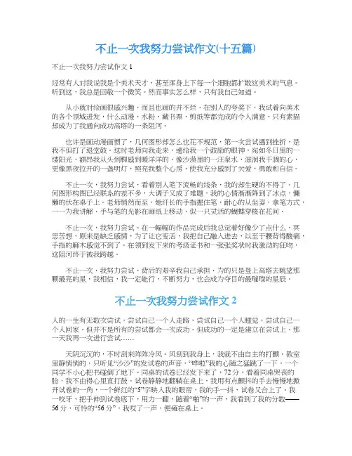 不止一次我努力尝试作文(十五篇)