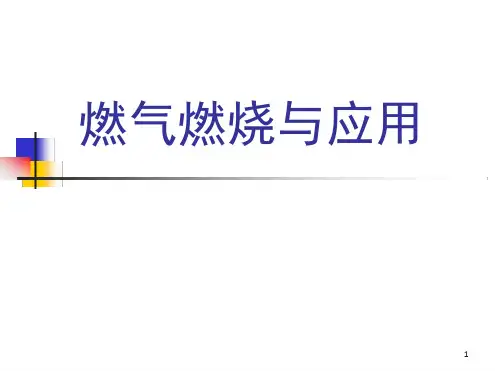 燃气的燃烧计算课件