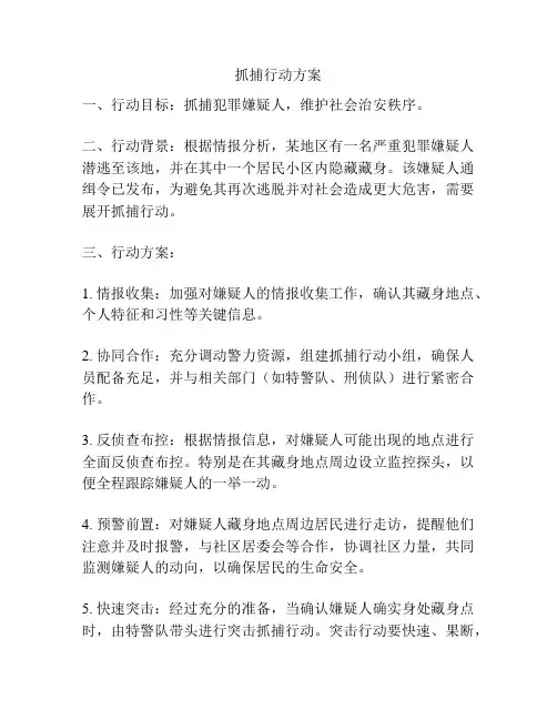 抓捕行动方案