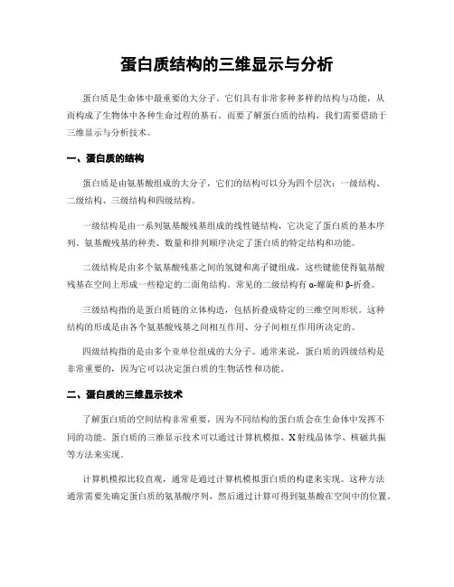 蛋白质结构的三维显示与分析