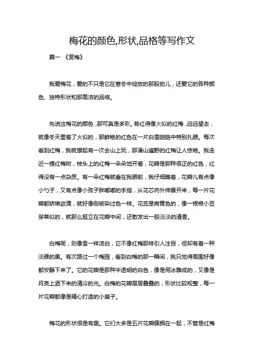 梅花的颜色,形状,品格等写作文