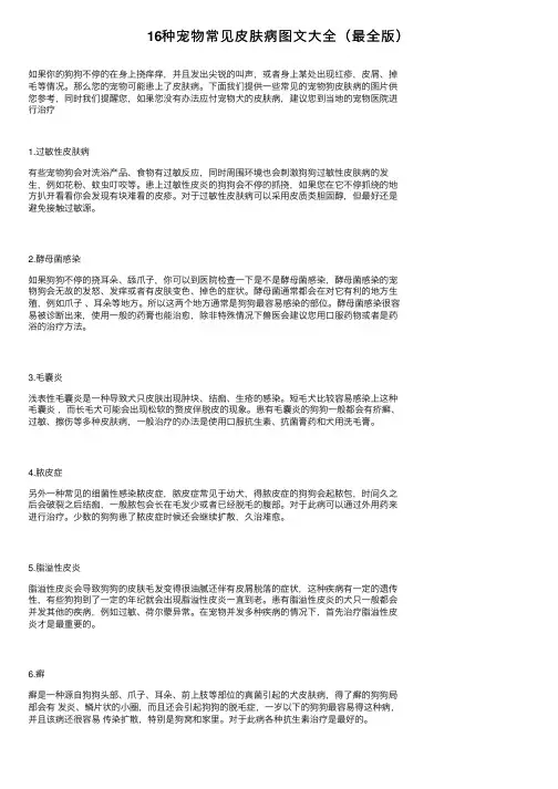 16种宠物常见皮肤病图文大全（最全版）