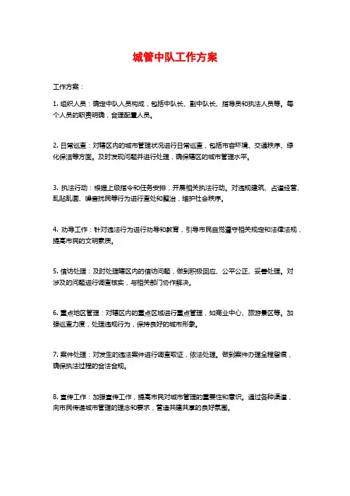 城管中队工作方案