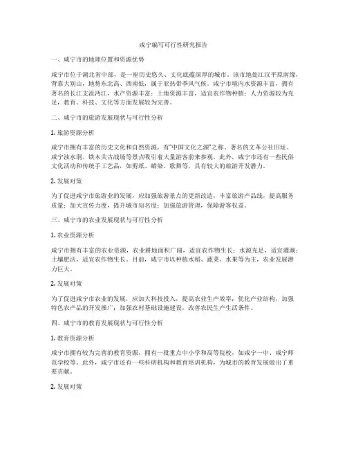 咸宁编写可行性研究报告