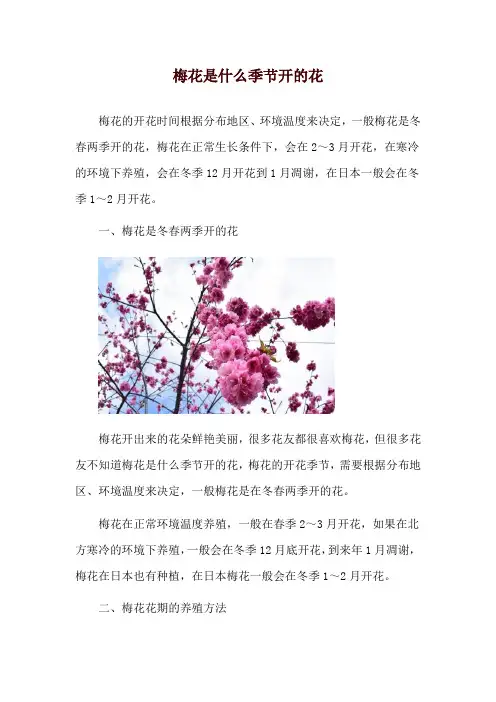 梅花是什么季节开的花