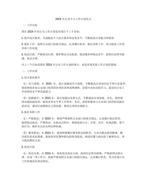 2024年公安个人工作计划范文