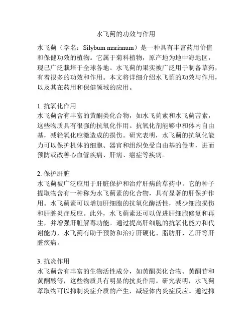 水飞蓟的功效与作用