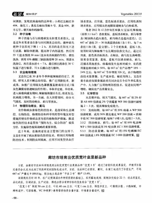 廊坊市培育出优质宽叶韭菜新品种