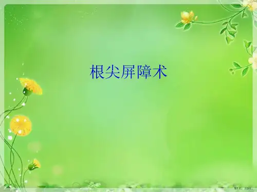 根尖屏障术