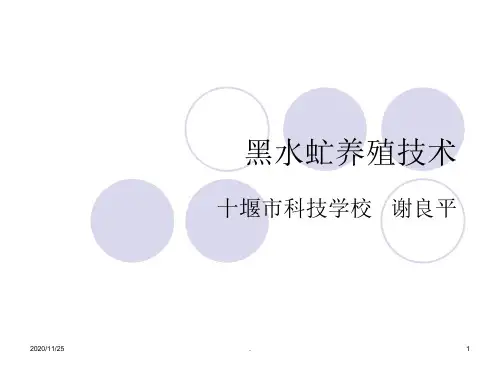 《黑水虻养殖技术》