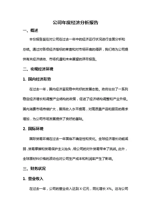 公司年度经济分析报告