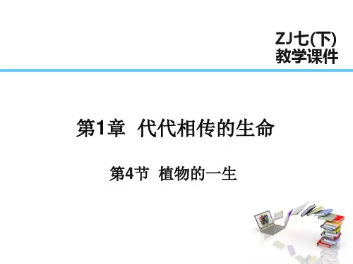 2024版浙教版科学七年级下课件 第一章  代代相传的生命 第4节  植物的一生 