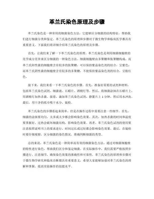 革兰氏染色原理及步骤